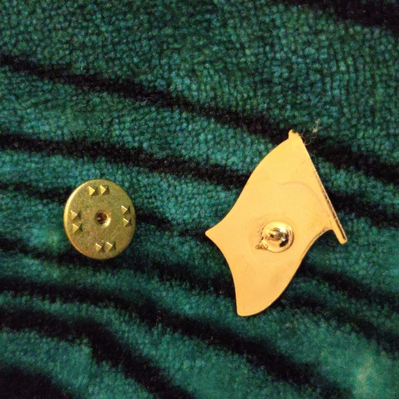 Vintage Goodwill Flag Lapel pin - Picture 2 of 3